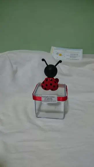 Caixinha Acrilico Joaninha