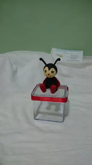 Caixinha Acrilico Joaninha