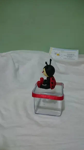 Caixinha Acrilico Joaninha