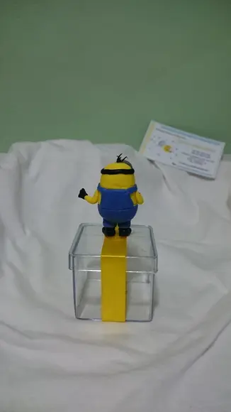 caixinha de acrílico mininons
