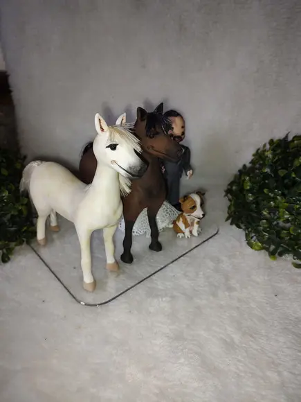 Casal de Noivinhos com Pet e 2 Éguas