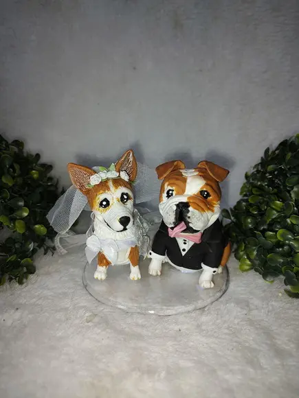 Casal de Pets