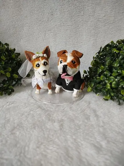 Casal de Pets