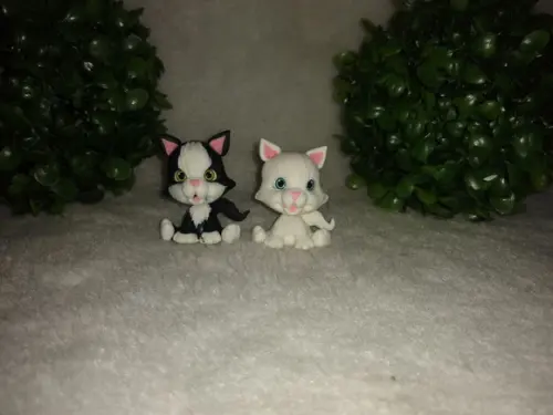 Gatinho