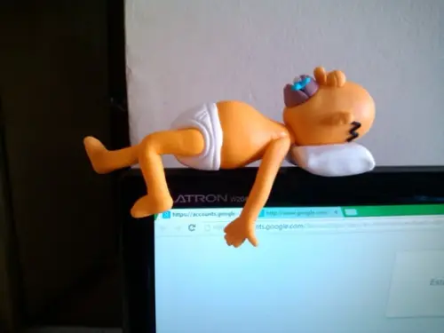 Homer simpson