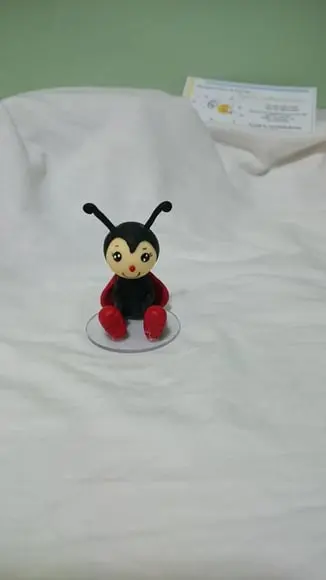 Lembrancinha joaninha