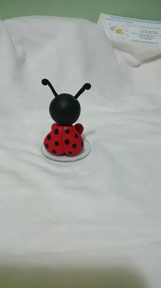 Lembrancinha joaninha