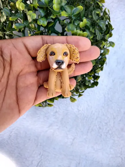 Miniatura Cachorros e Gatos