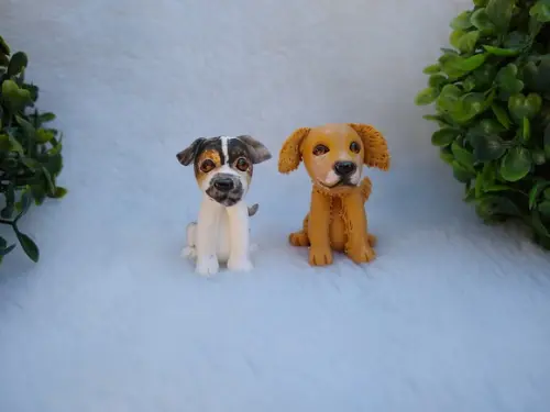 Miniatura Cachorros e Gatos