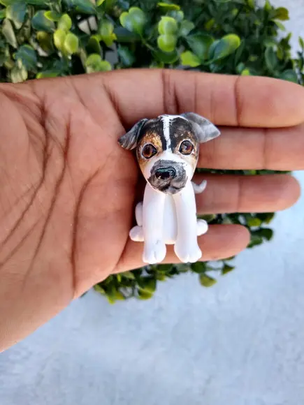 Miniatura Cachorros e Gatos