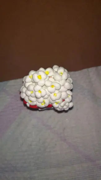 Pipoca
