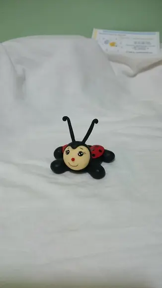 porta doce joaninha