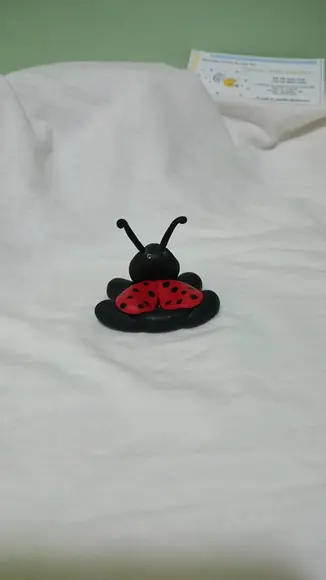 porta doce joaninha