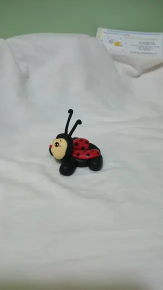porta doce joaninha