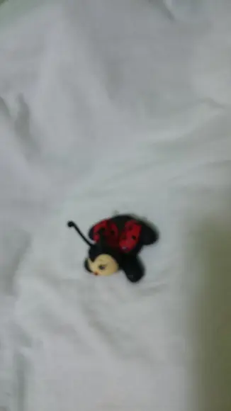 porta doce joaninha
