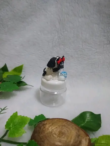 Pote cachorrinho com sapato