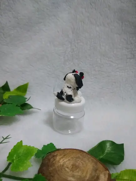 Pote cachorrinho com sapato