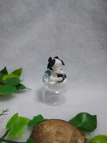 Pote cachorrinho com sapato