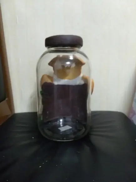 Pote de cachorro