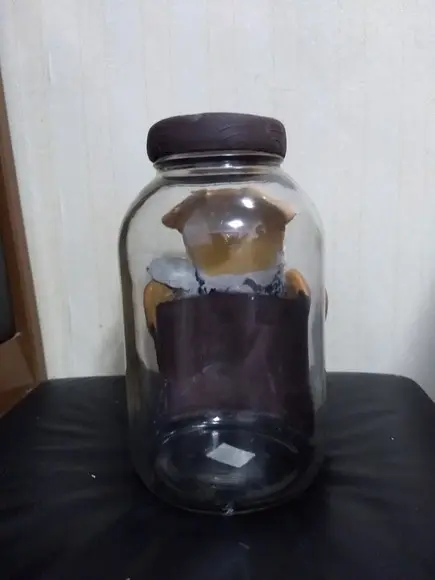 Pote de cachorro