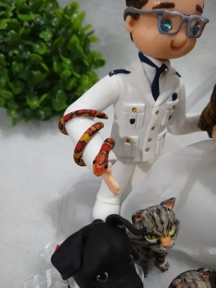topo de casamento com 6 pets