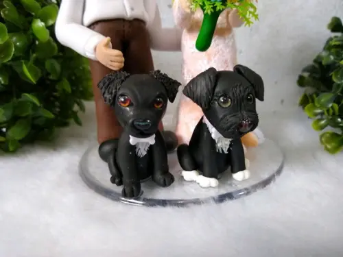 topo de casamento com pets