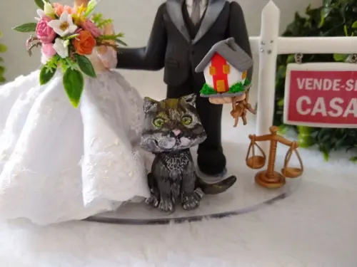 topo de casamento com pet e profissão