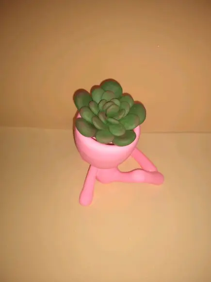 Vaso decorativo
