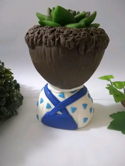 Vaso menino suculenta