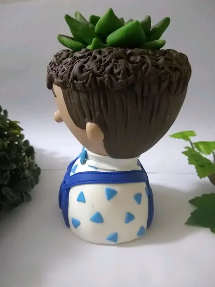 Vaso menino suculenta