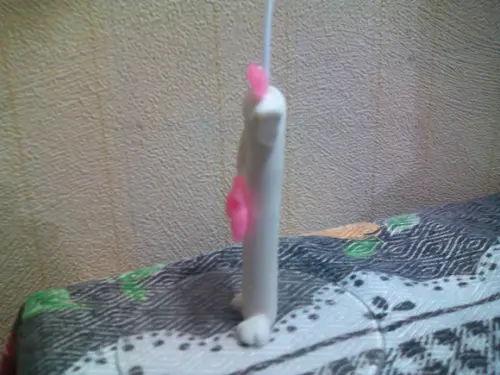 Vela da gata marie