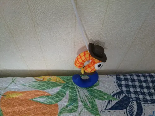 Vela woody