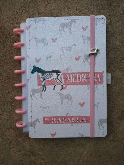Caderno de Disco Personalizado m Colegial Inteligente
