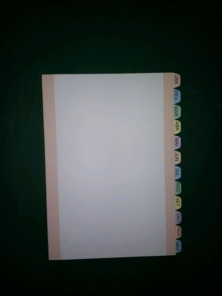 Divisórias para planner caderno de disco 12 meses 8 furos