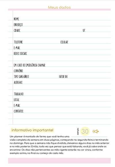 Refil Planner Caderno de Discos Inteligente G20x27,5 11furos