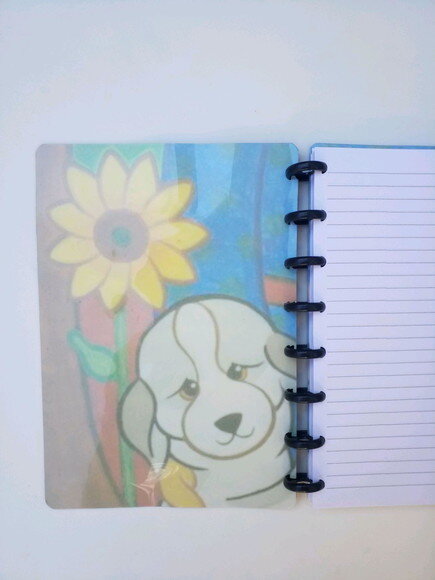 Caderno de disco A5 São Francisco