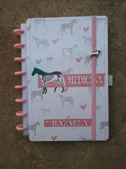 Caderno de Disco Personalizado m Colegial Inteligente