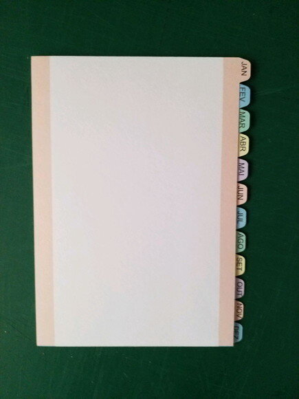 Divisórias para planner caderno de disco 12 meses 8 furos