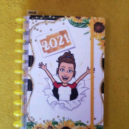 Caderno de Disco Tamanho Personalizado A4 12 ou 11 Discos