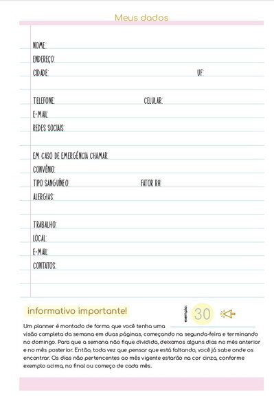 Refil Planner Caderno de Discos Inteligente G20x27,5 11furos