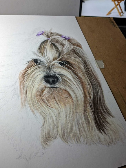 Desenho Realista de Pet Feito a Mão