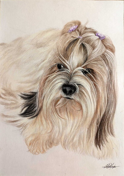 Desenho Realista de Pet Feito a Mão