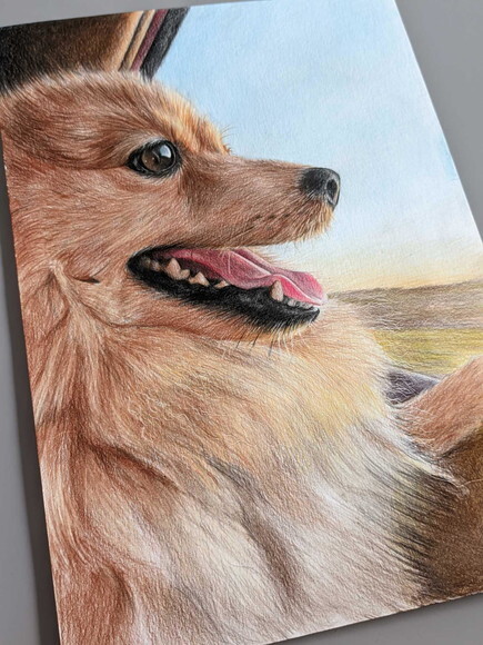 Desenho Realista de Pet Feito a Mão