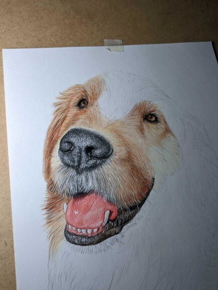 Desenho Realista de Pet Feito a Mão