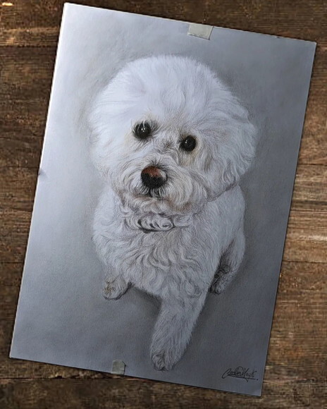 Desenho Realista de Pet Feito à Mão - Sob Encomenda
