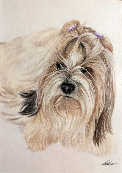 Desenho Realista de Pet Feito a Mão