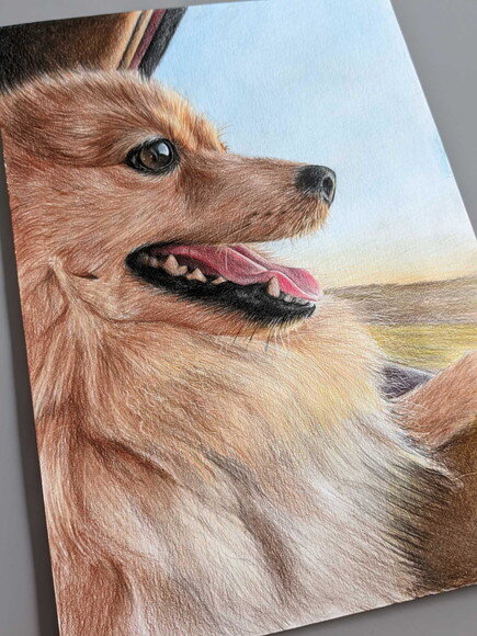 Desenho Realista de Pet Feito a Mão
