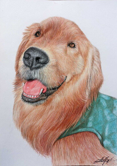 Desenho Realista de Pet Feito a Mão