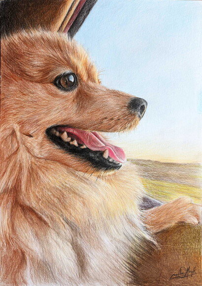 Desenho Realista de Pet Feito a Mão