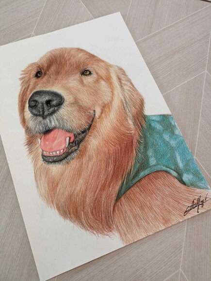 Desenho Realista de Pet Feito a Mão